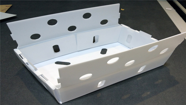 �пհ���b��